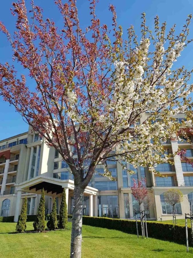 Lighthouse 3 Bedrooms Villa F36 Bałczik Zewnętrze zdjęcie