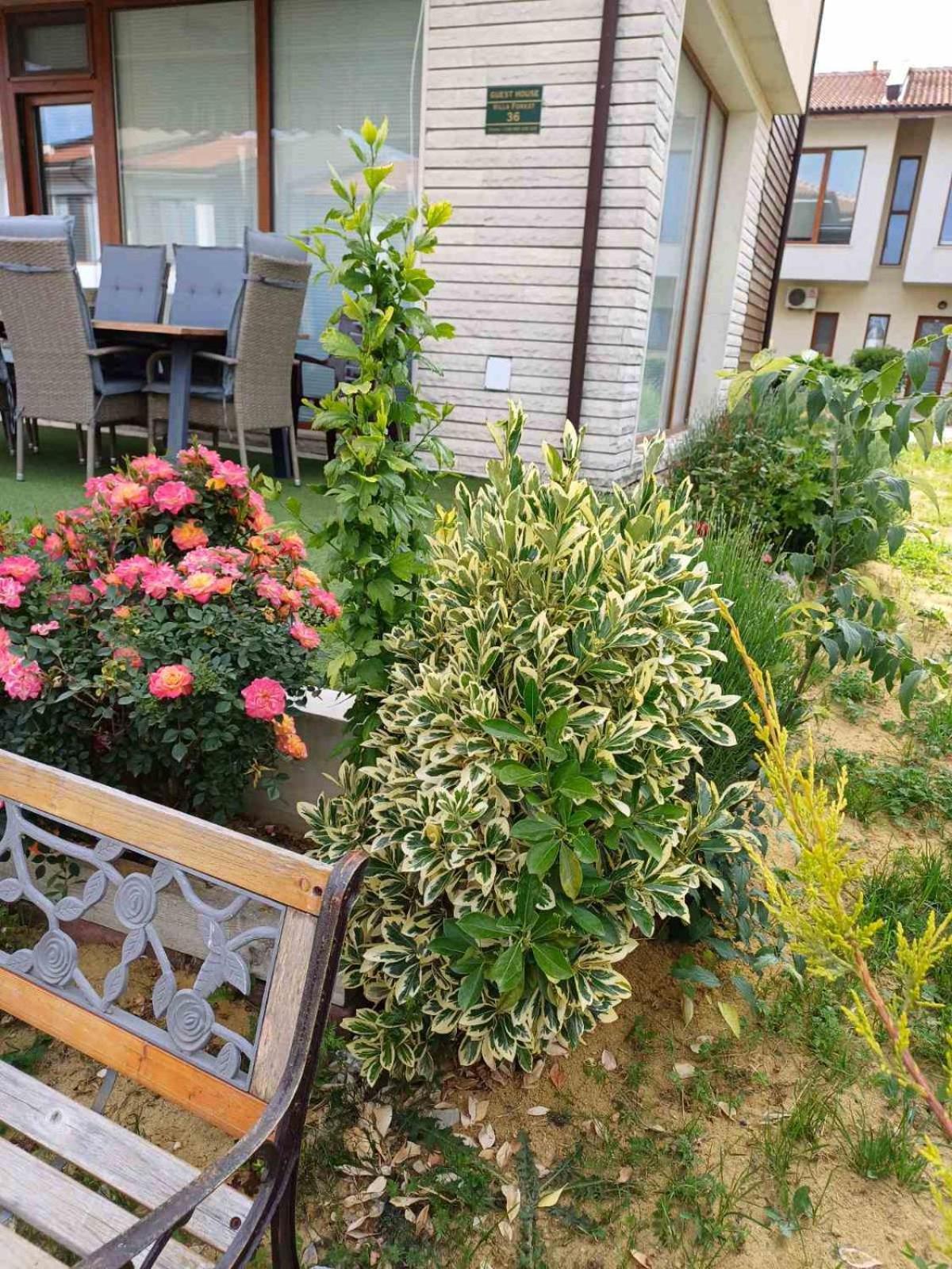Lighthouse 3 Bedrooms Villa F36 Bałczik Zewnętrze zdjęcie